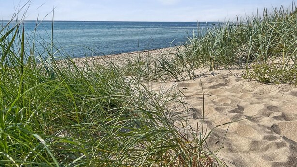 A sandy beach with tall grass in the foreground and a clear blue sea in the background.