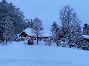 Eksteriør