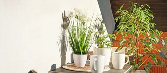 Ferienwohnung 'Horst' mit Balkon und WLAN