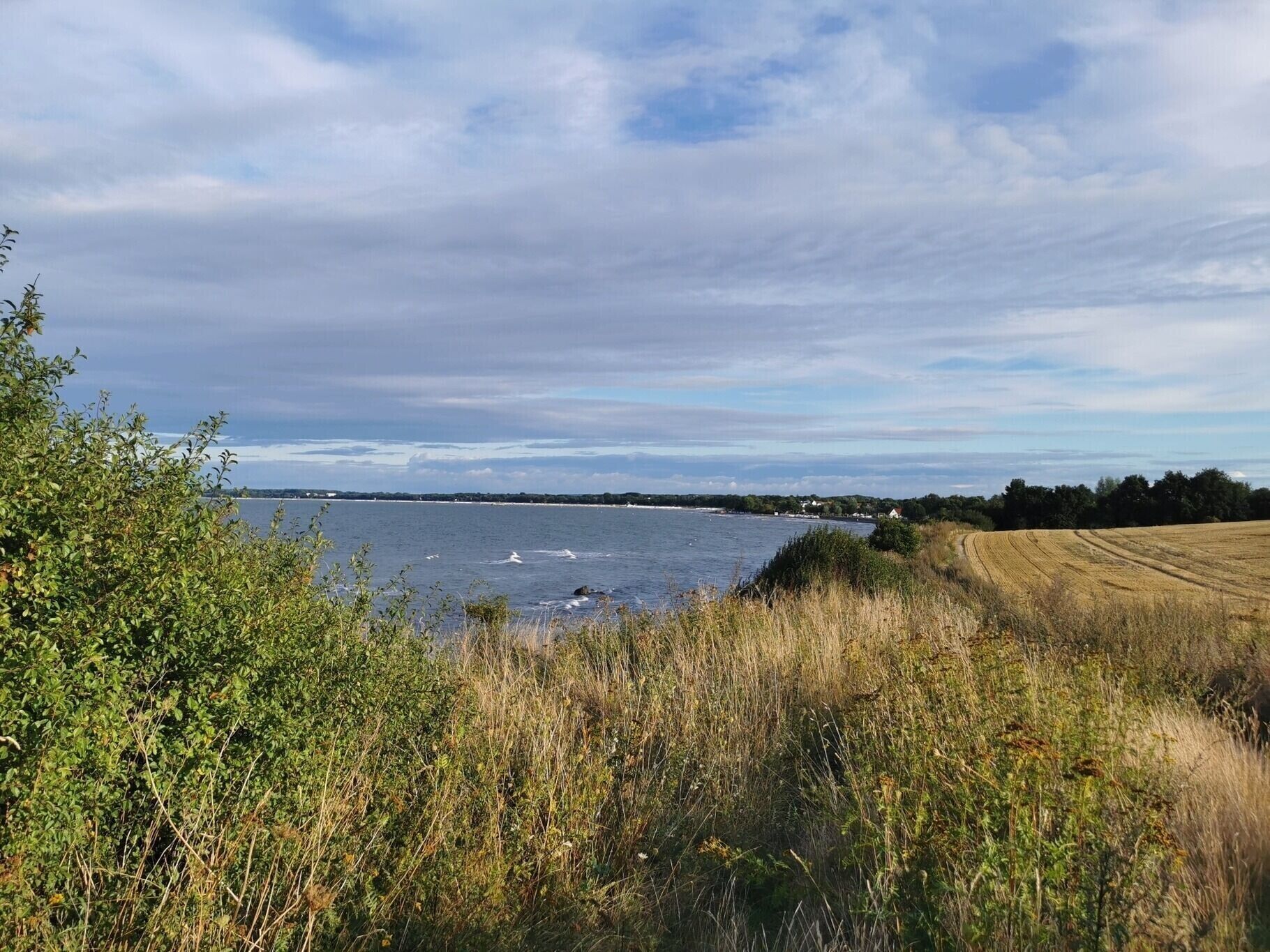 Un paysage côtier comprenant une étendue d’eau, de la végétation et une ligne de côte éloignée.