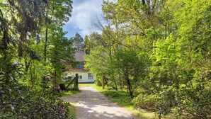 A dirt path leading to a house surrounded by lush greenery and trees.