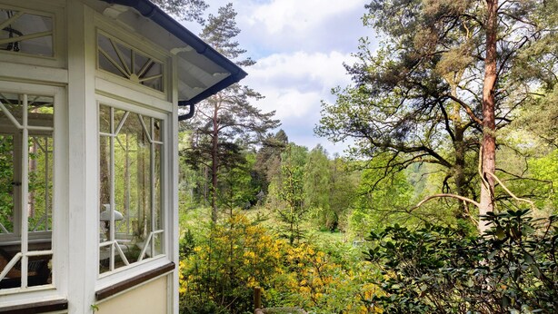 A conservatory with a view of a forested area.