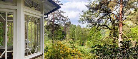 Áreas de la propiedad