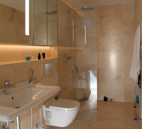 A modern bathroom with a glass shower enclosure, a white sink, and a toilet.
