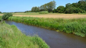 A river meandering through a grassy field with trees in the background. - "Gunhild" - 22km from the sea by Interhome (Bredebro)