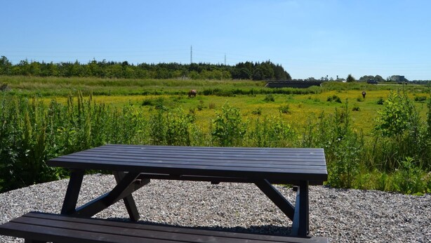 A picnic table in a grassy field with a clear sky. - "Gunhild" - 22km from the sea by Interhome (Bredebro)