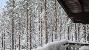 Un balcon enneigé, doté d’une balustrade et offrant une vue sur une forêt dense, composée de grands arbres couverts de neige.