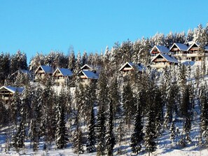 Une rangée de bâtiments de style chalet, avec des toits inclinés, entourés d’arbres couverts de neige.