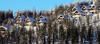 Hyrynpirtti mökki by Interhome