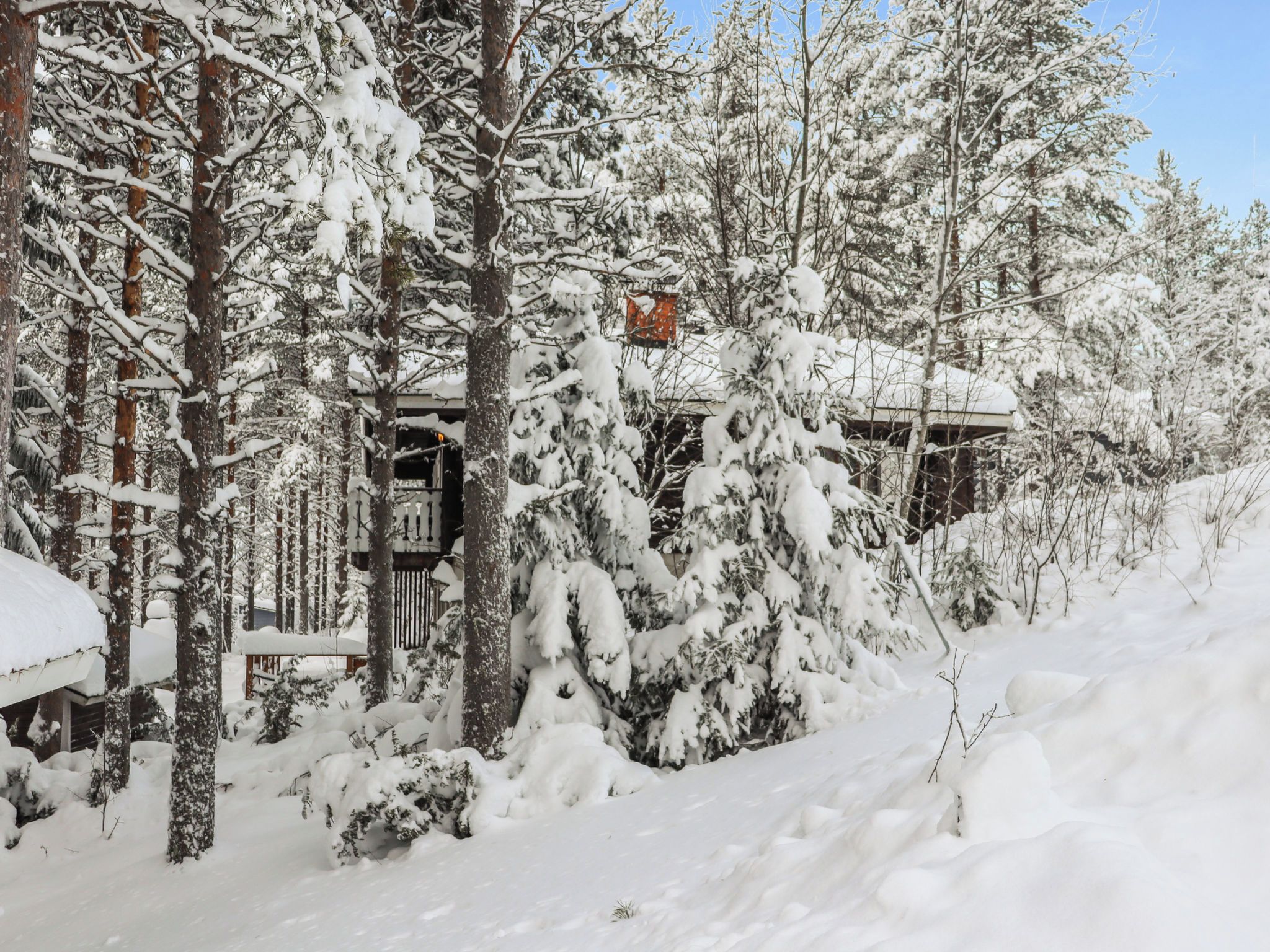 Une cabane entourée d’arbres couverts de neige.