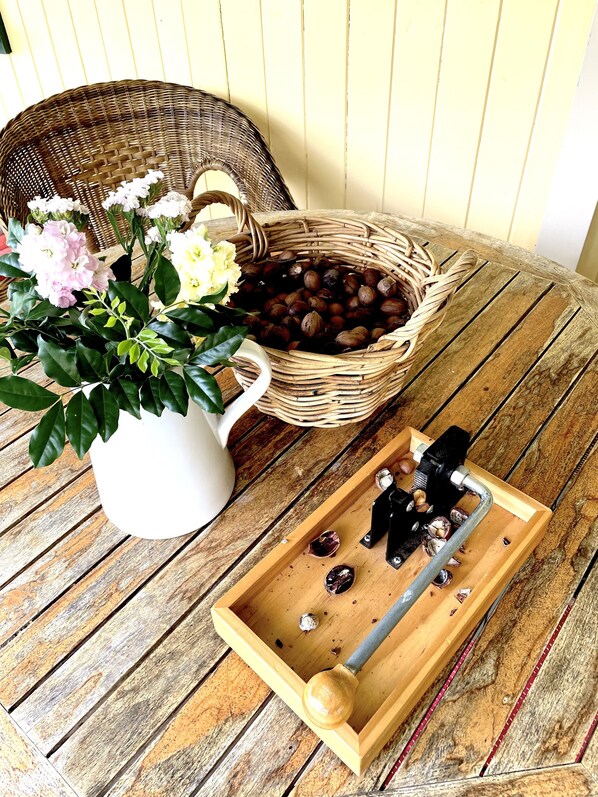 Terrace/patio - Noosa Hinterland Escape (Black Mountain)