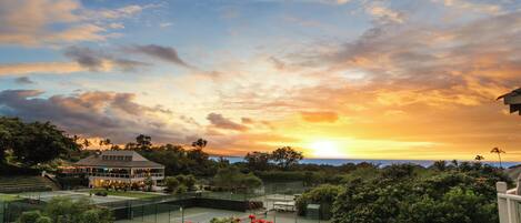 Appartement (1 Bedroom) | Accommodatievoorziening