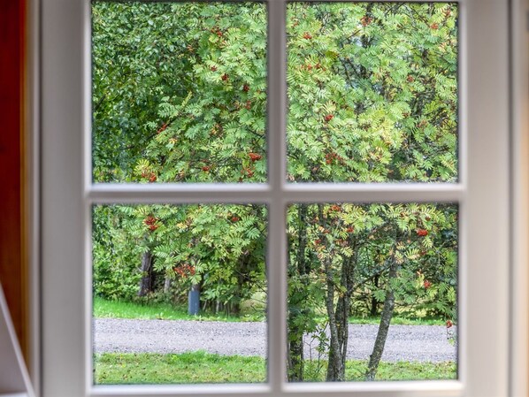 Une fenêtre divisée en quatre carreaux, chacun offrant une vue sur une rue bordée d’arbres et dotée d’un chemin de gravier.