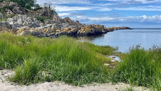A coastal landscape with rocky cliffs, grassy areas, and a calm sea under a partly cloudy sky.