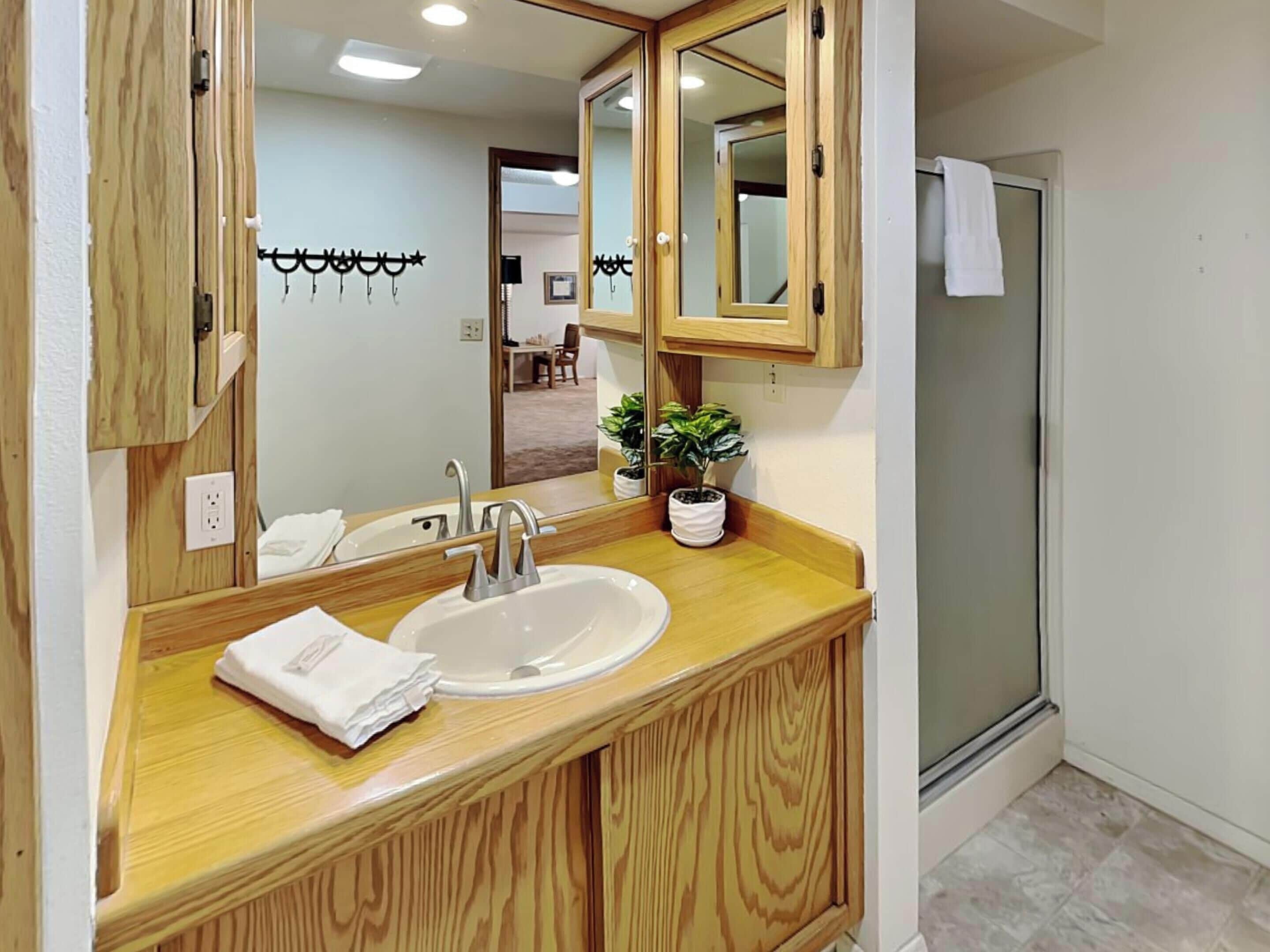 Un baño con tocador de madera, un lavabo, un espejo y una planta en maceta.