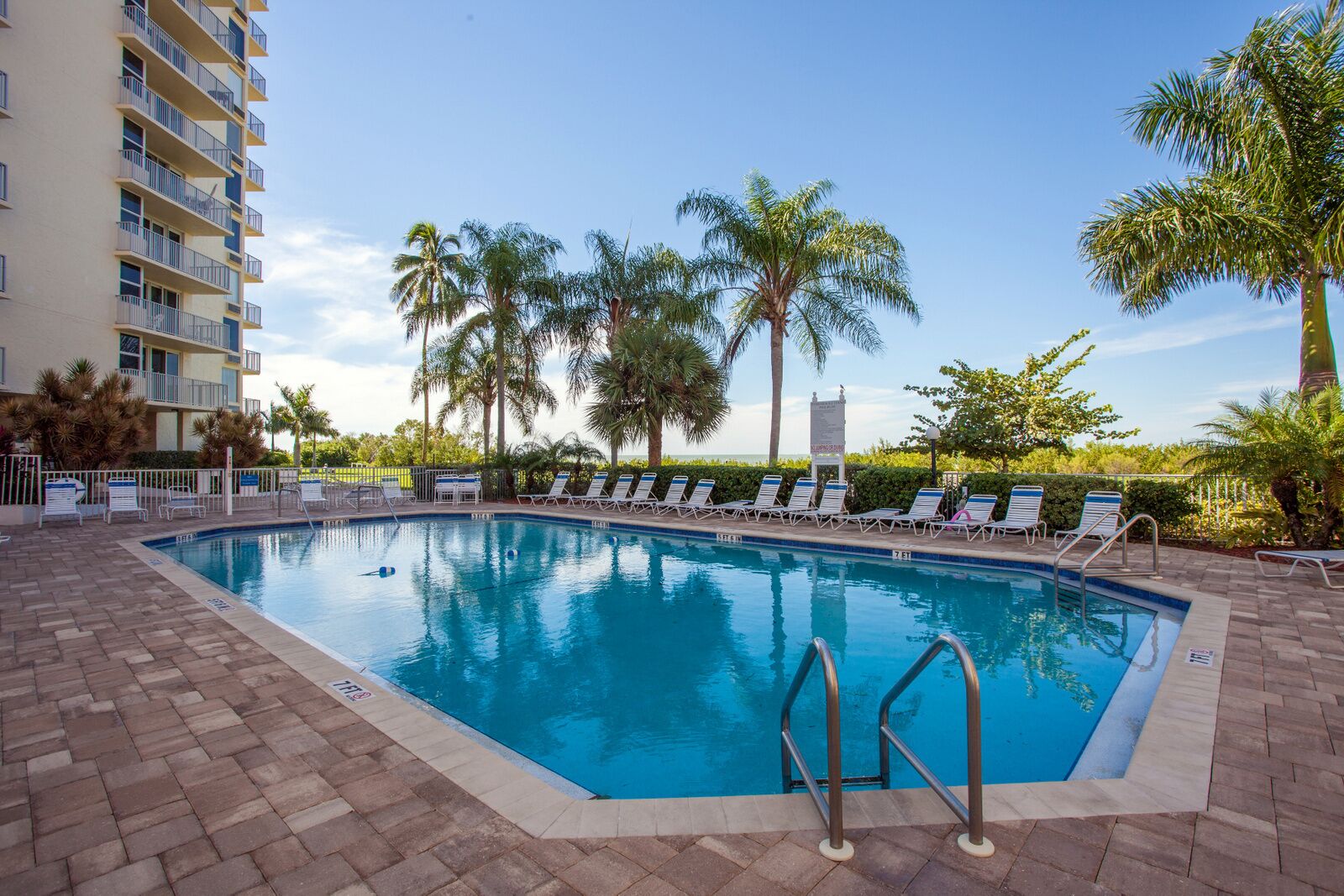 A rectangular swimming pool with a tiled edge, surrounded by lounge chairs and palm trees.