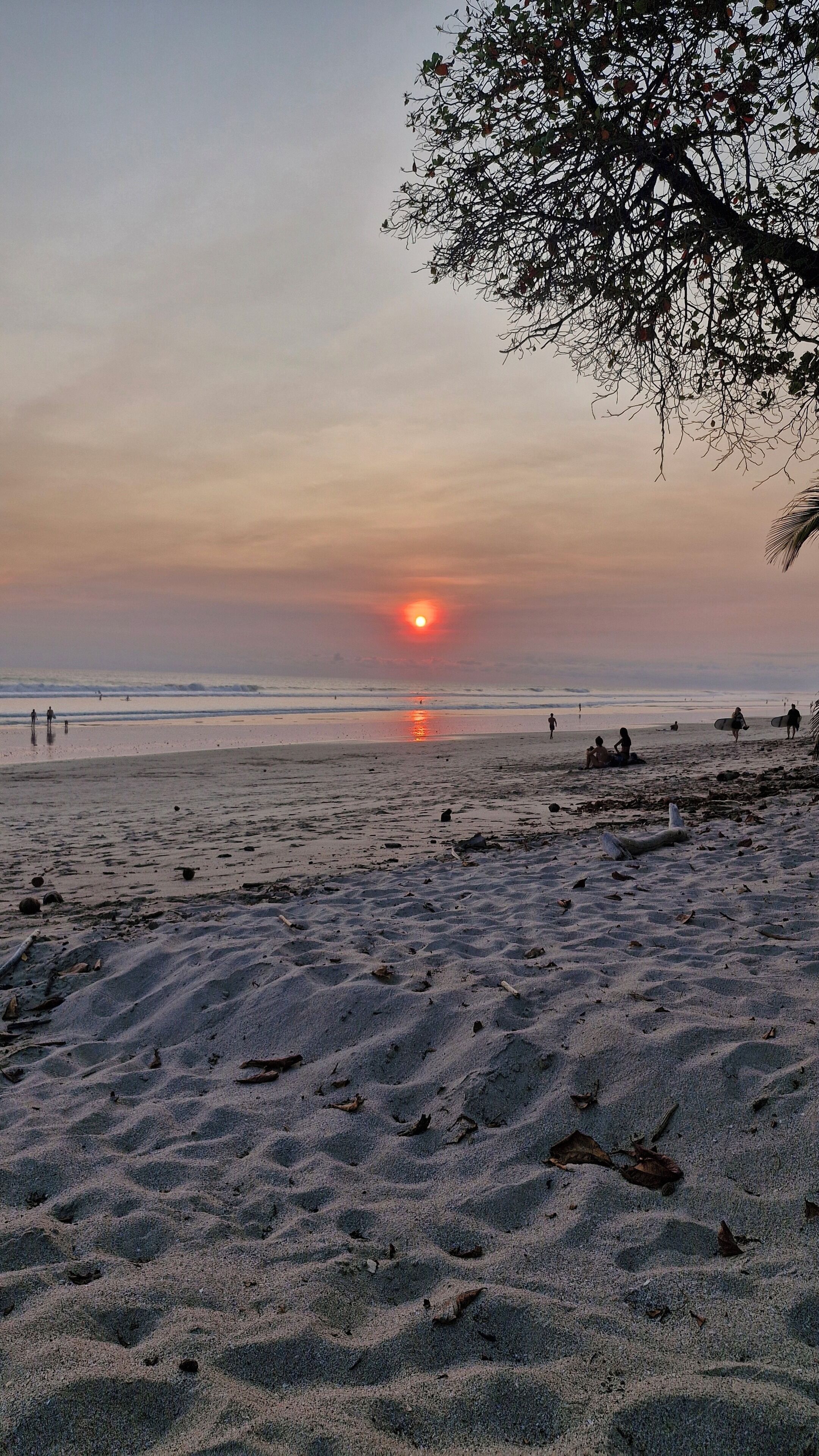 ビーチの近く、白砂、サーフィン