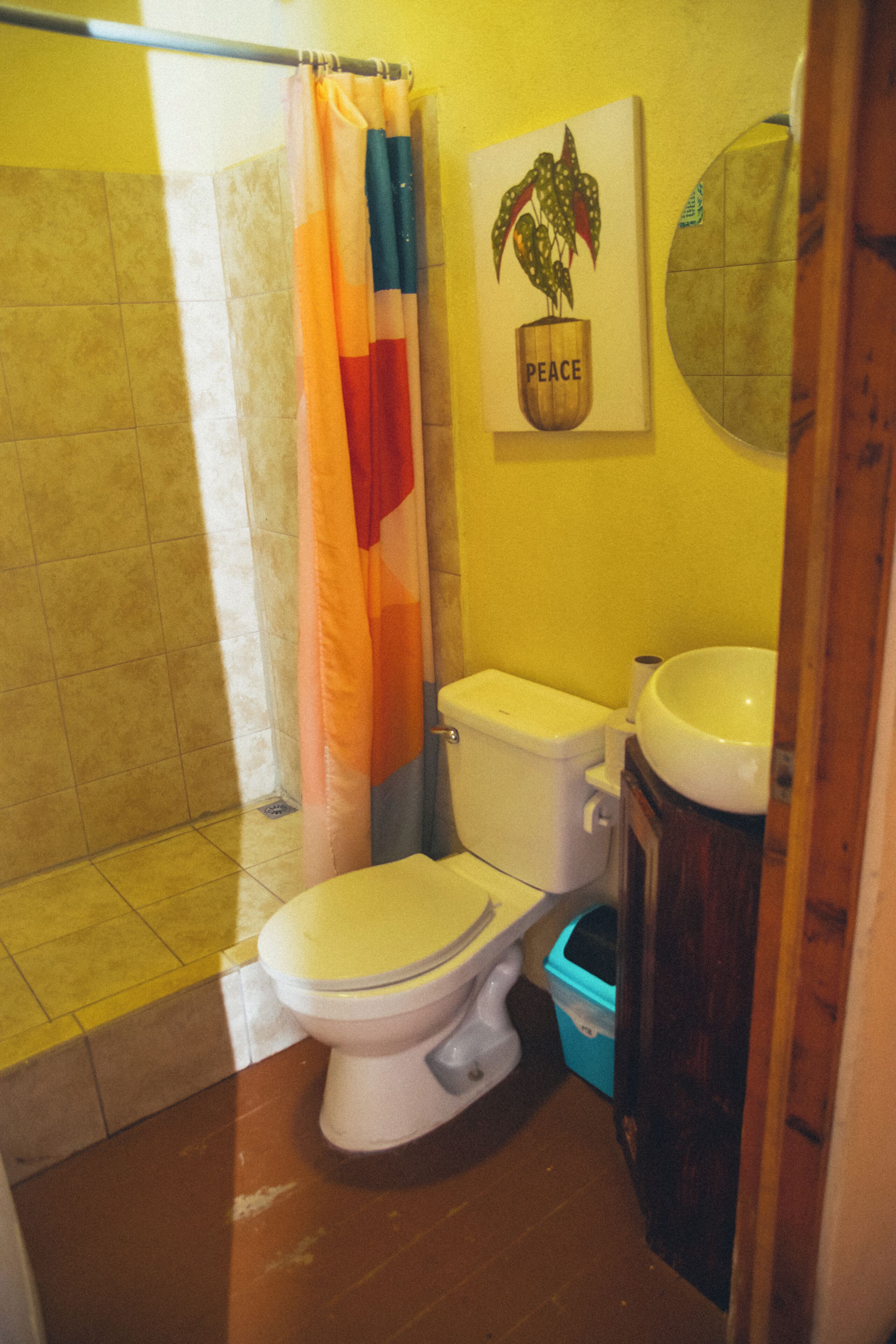 A bathroom with a toilet, sink, and shower curtain.