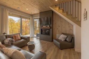 Televisión y chimenea 