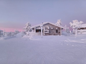 En hytte af tømmer omgivet af sneklædte træer.