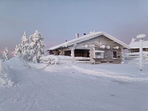 Eksteriør