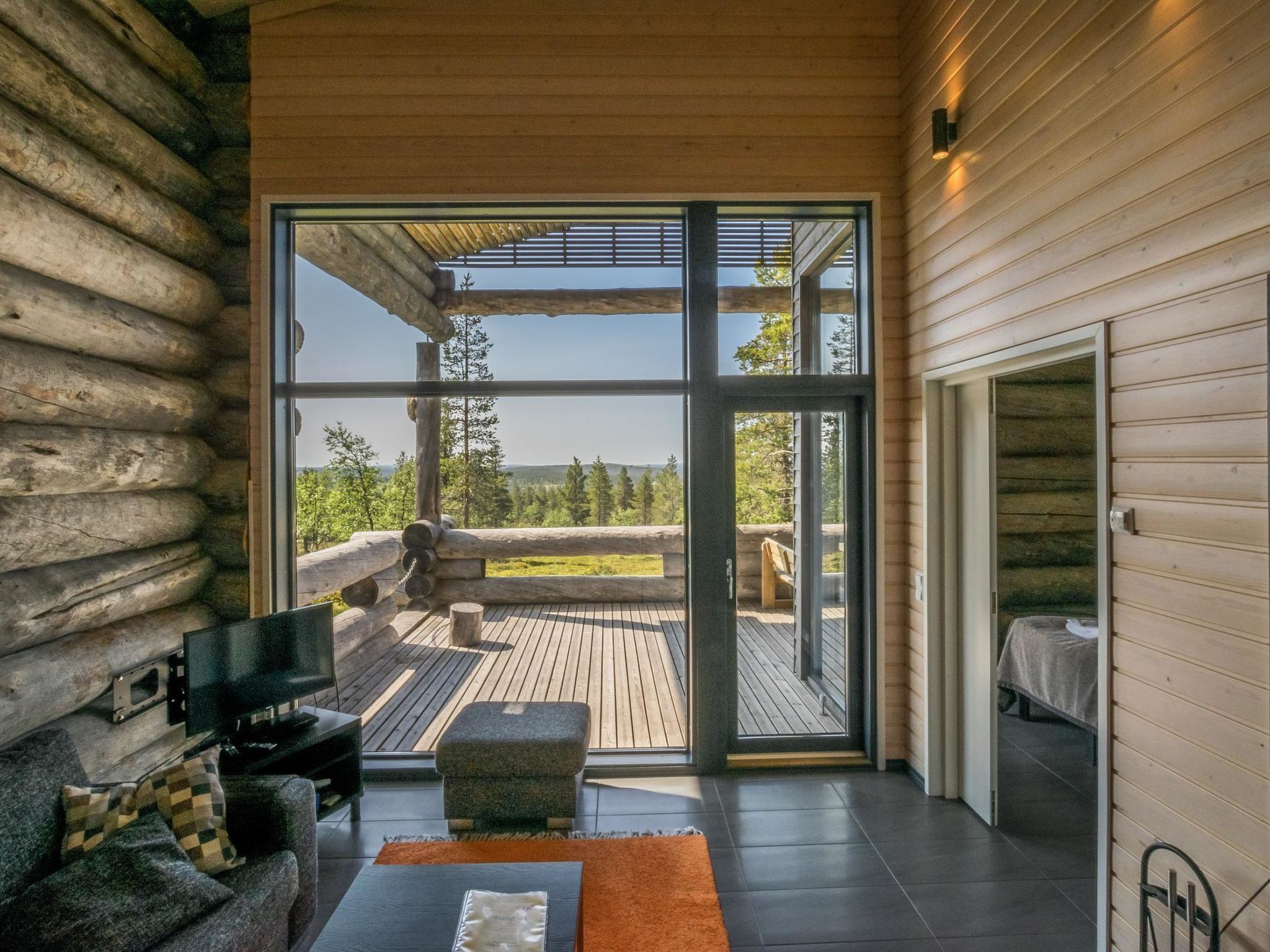 Televisio, DVD-soitin