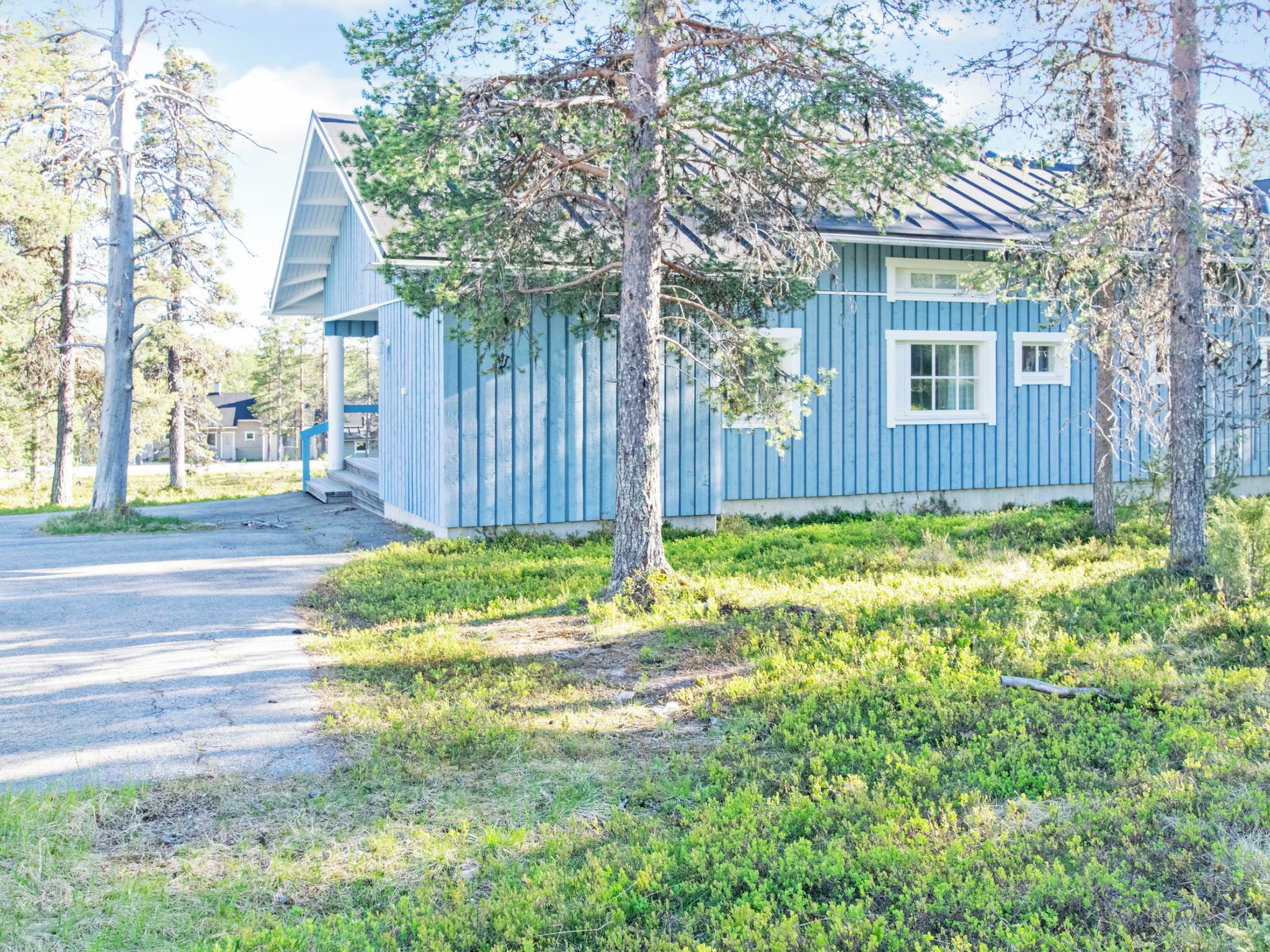 A blue wooden cabin with a porch, surrounded by trees and greenery.