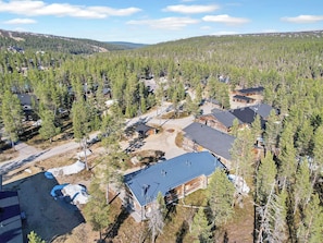 Un quartier résidentiel composé de plusieurs maisons, entouré d’une forêt dense, et présentant un mélange d’architecture moderne et traditionnelle.