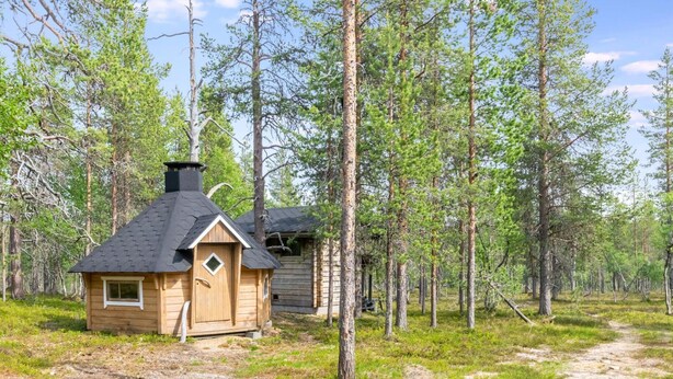 A cabin with a sloped roof and a chimney, surrounded by a forest with tall pine trees.