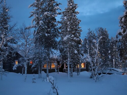 Tunturikoivu b1 by Interhome