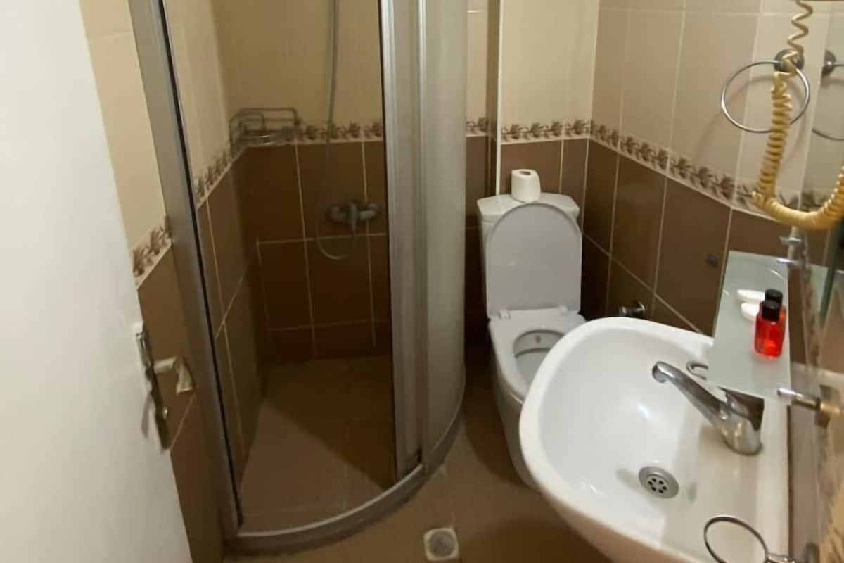 A bathroom with a glass-enclosed shower, a toilet, and a sink with a mirror.