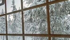 A view through a window with a grid pattern, displaying a snowy landscape with trees and a clear sky. - Kuksatie 7 a by Interhome (Inari)