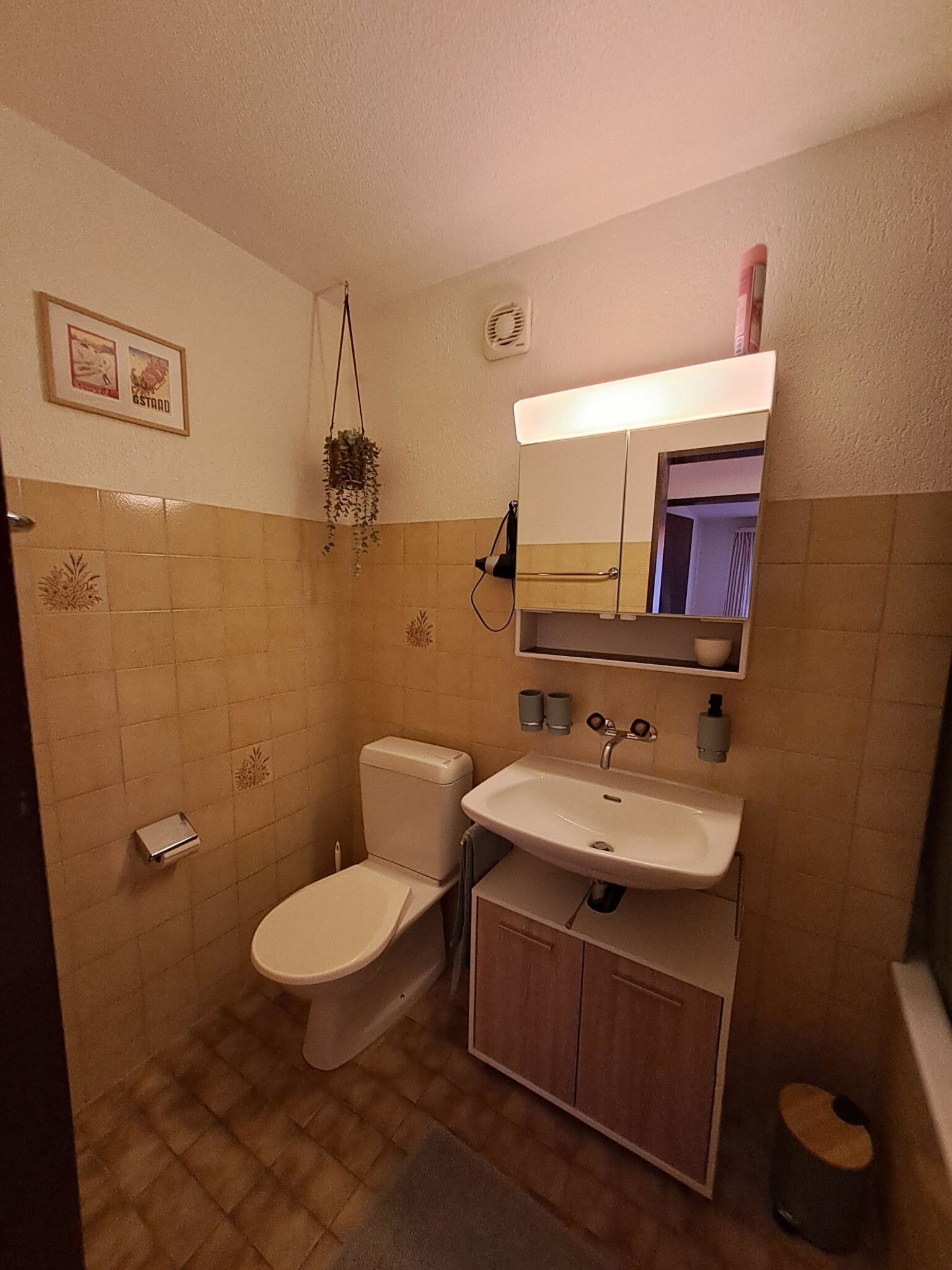 A bathroom with a toilet, sink, and mirror. There is a towel rack, a small shelf with toiletries, and a plant hanging from the ceiling.
