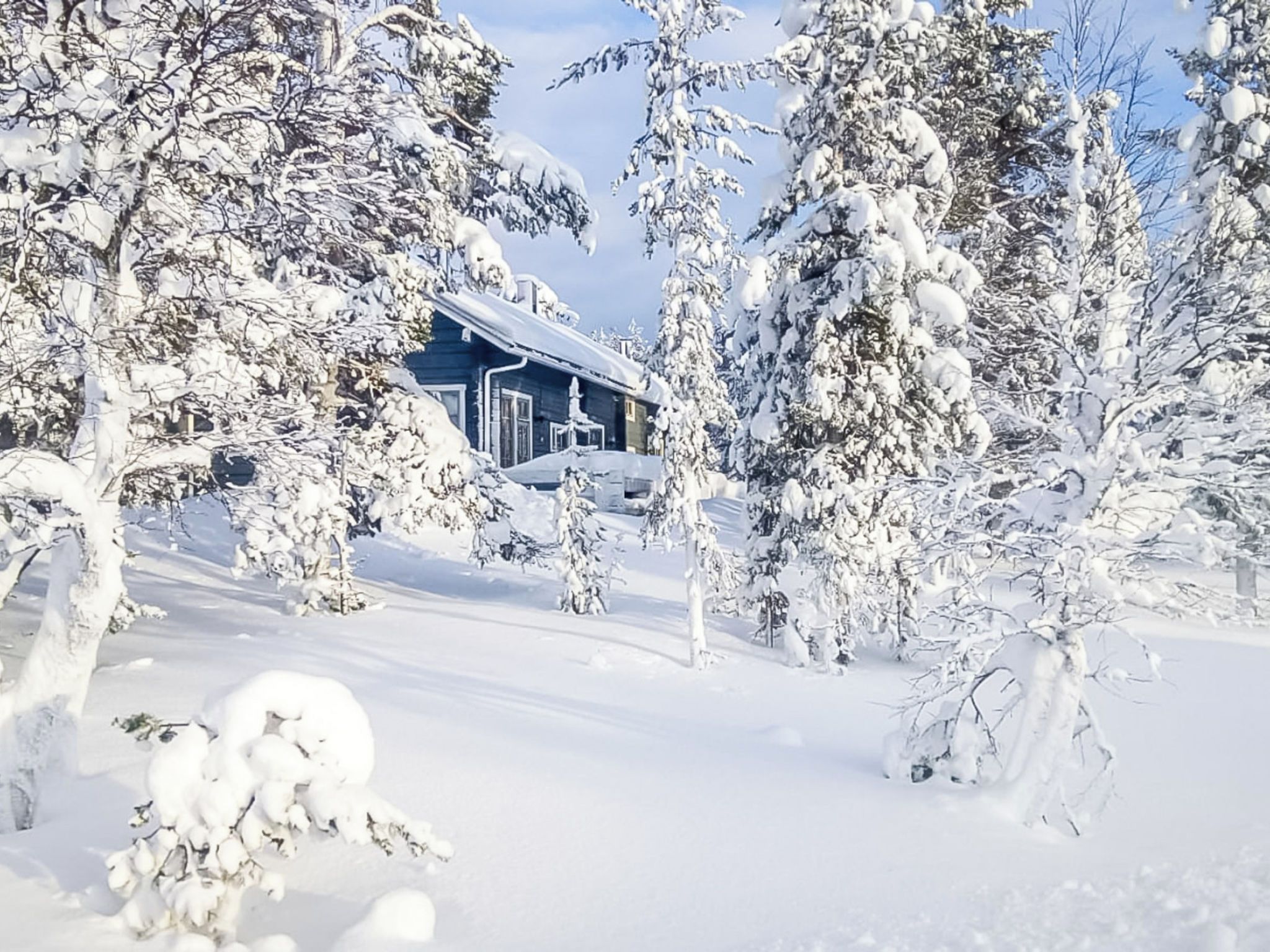 A snow-covered landscape with a house and trees.