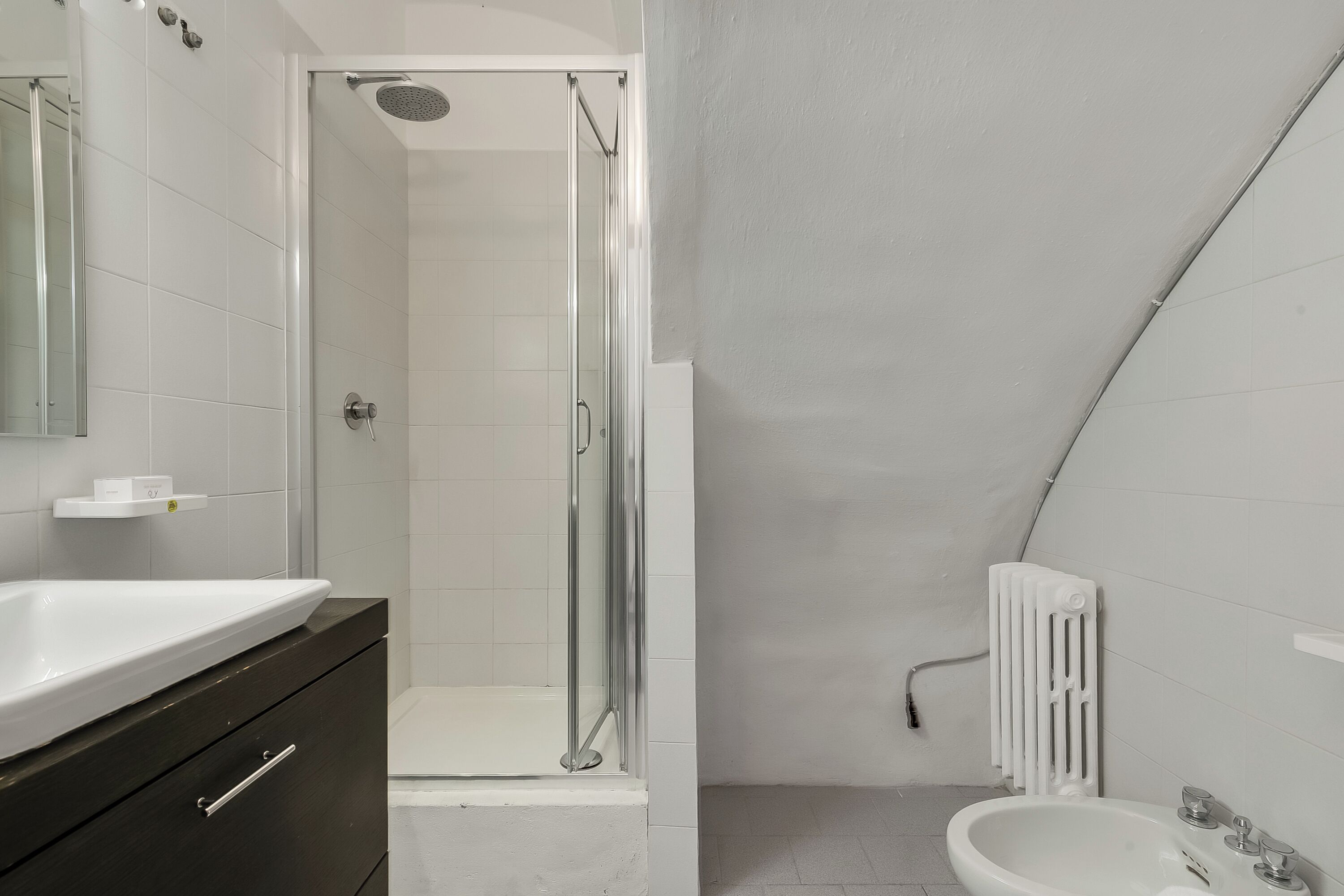 Shower, bidet, towels, soap