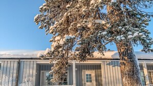 A building with a snow-covered tree in front, a door, and a window. - Saariseläntie 8 a 8 by Interhome (Inari)