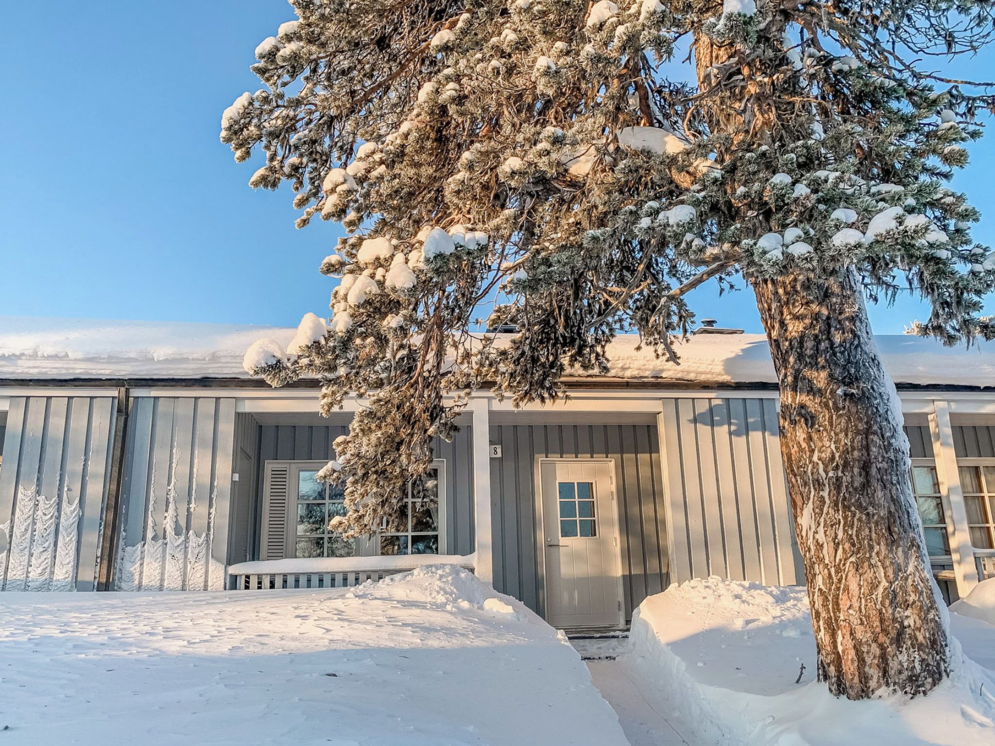 A snow-covered building with a large tree in front.