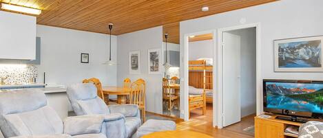 電視、DVD 播放機