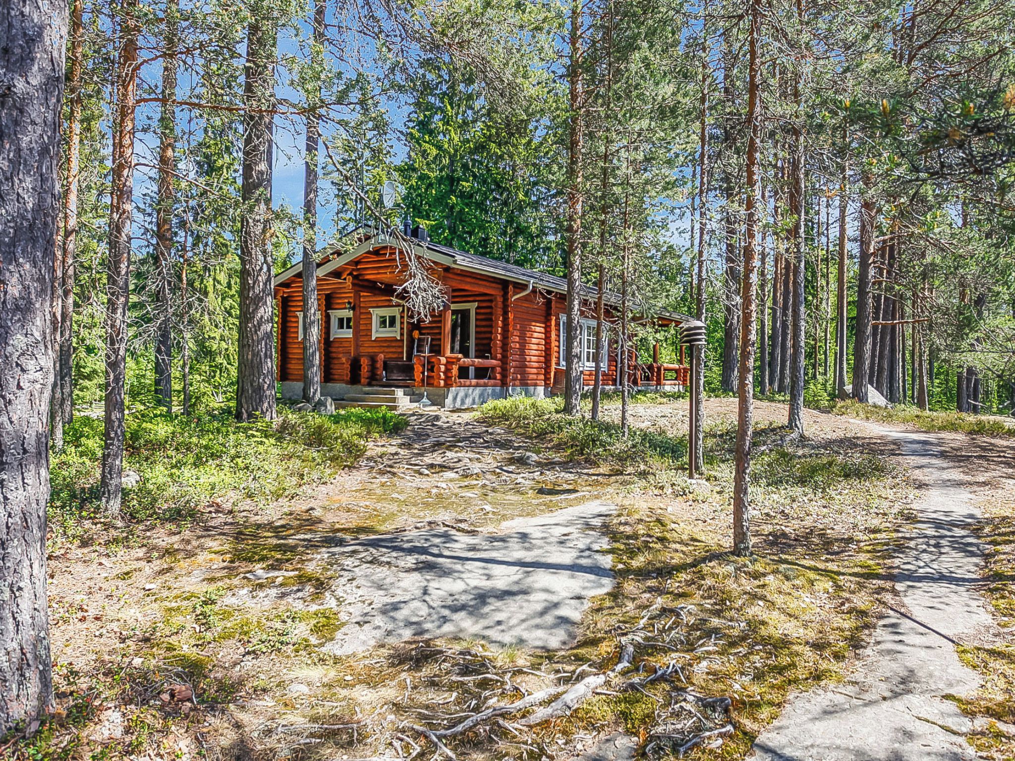 A cabin surrounded by tall trees, with a dirt path leading to it.