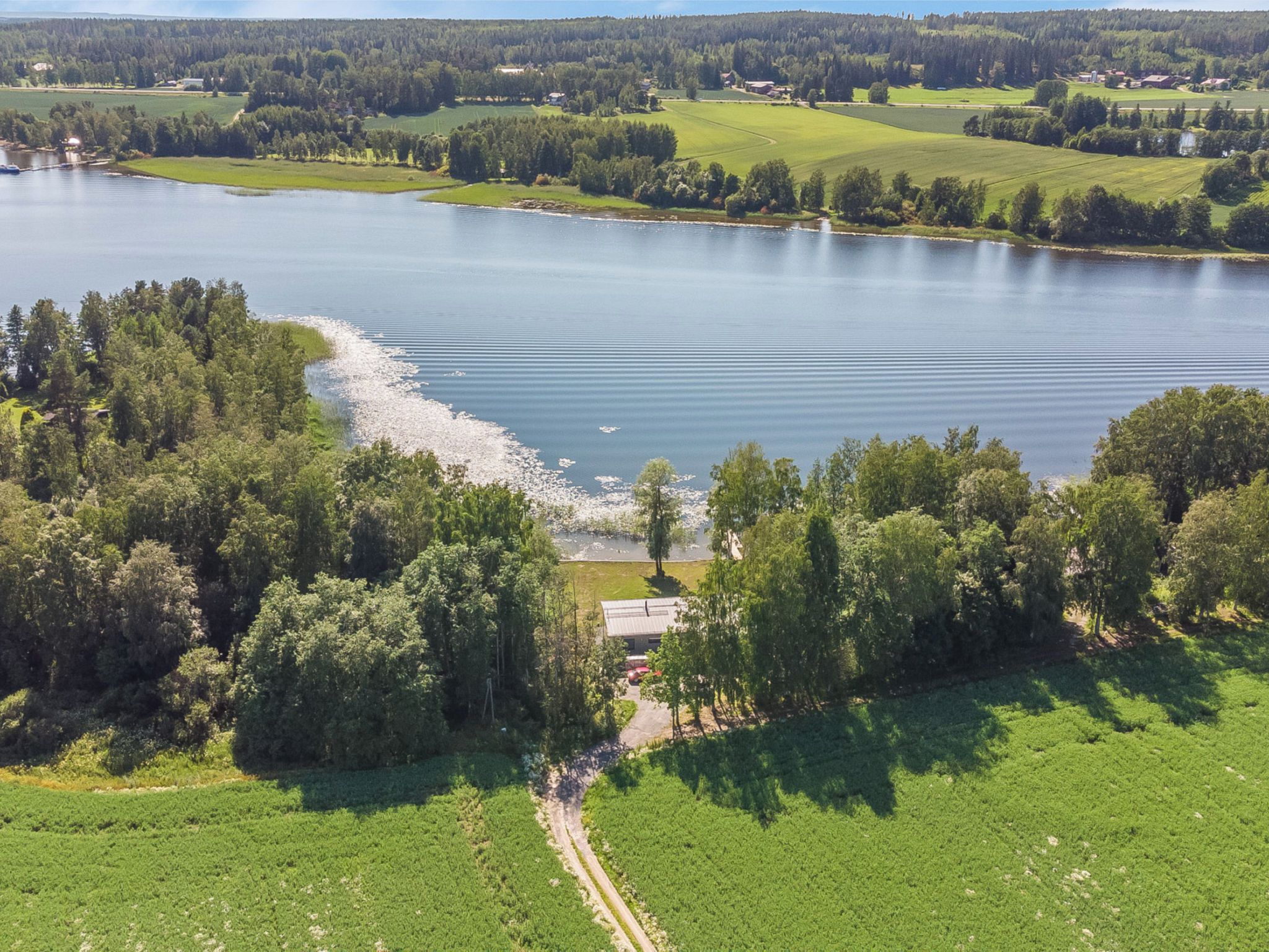 Järvenrantatontti, josta on esteetön näkymä vedelle, ja jota ympäröivät tiheät metsät ja avoimet pellot.