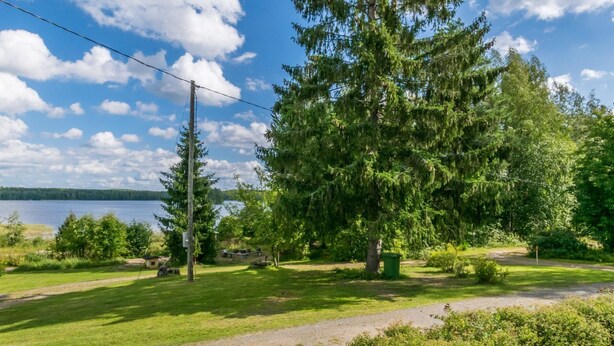 Une zone herbeuse avec un grand arbre, un petit bâtiment et une étendue d’eau en arrière-plan.