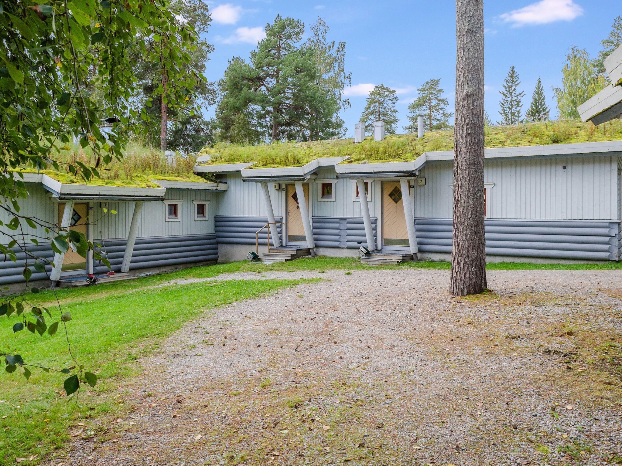 Une rangée de chalets de style rustique, construits en rondins de bois, avec une allée en gravier et une végétation luxuriante tout autour.