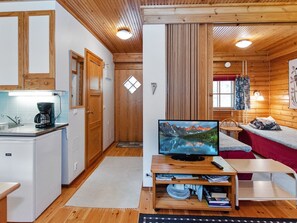 Un espace de vie compact comprenant un coin cuisine, un téléviseur, un canapé et une fenêtre avec des rideaux.