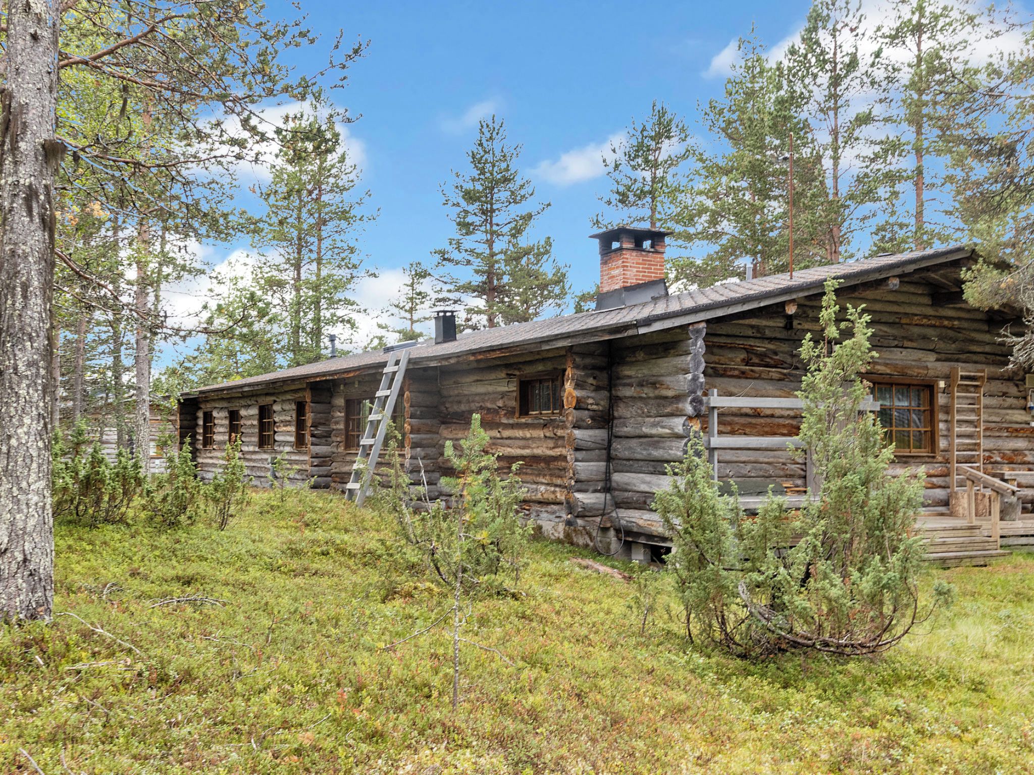 Une cabane rustique en rondins de bois, dotée d’une cheminée, entourée d’arbres et bordée d’une pelouse.
