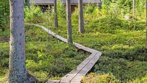 Overnattingsstedets uteområder