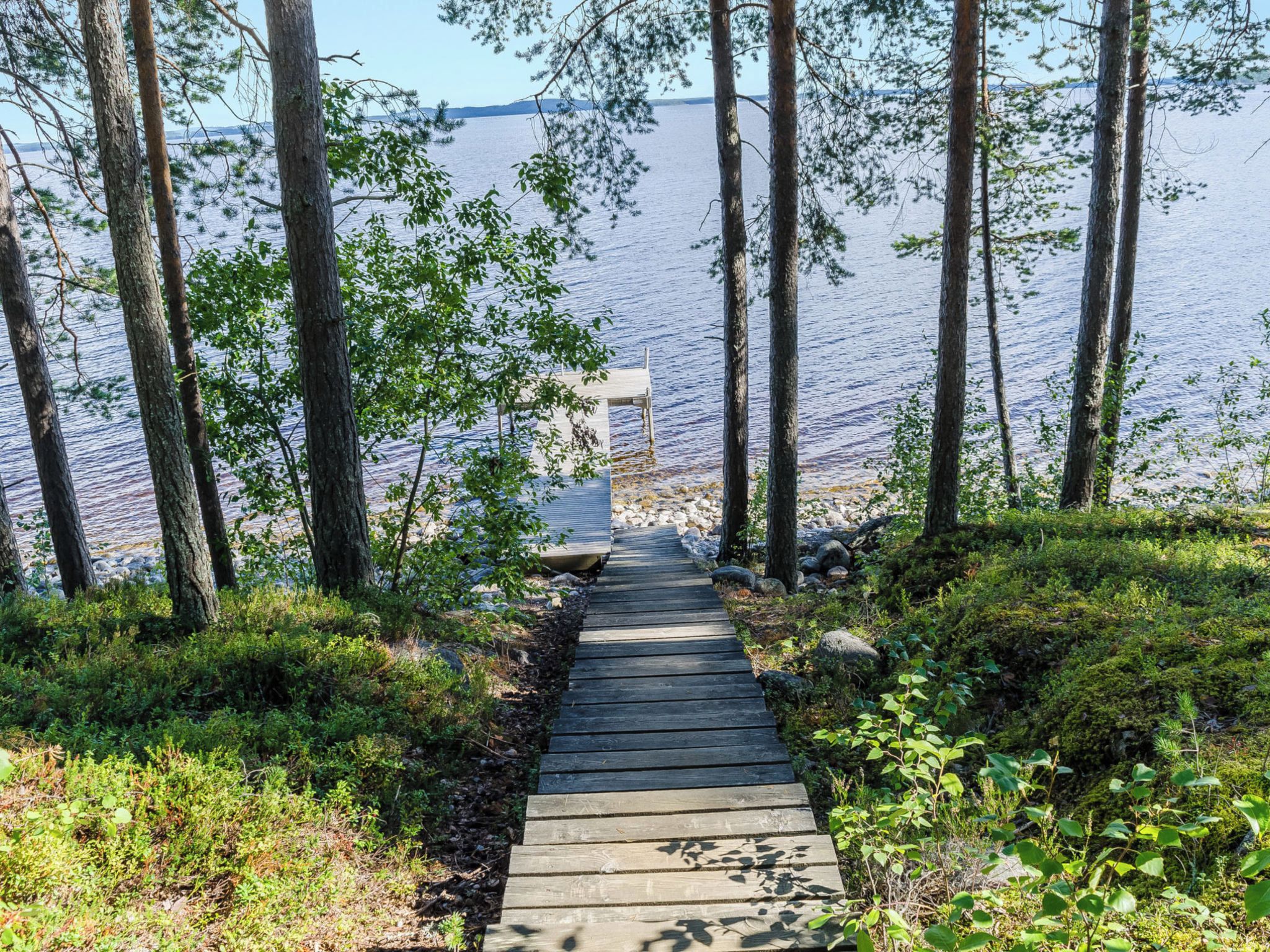 Un sentiero di legno conduce a un molo su un lago, circondato da alberi e vegetazione.