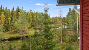 A view of a forested area with a small stream and a building with red siding.