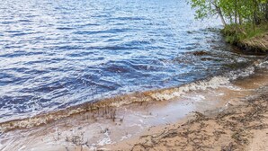 A beach with clear water, sandy shore, and a forest in the background.