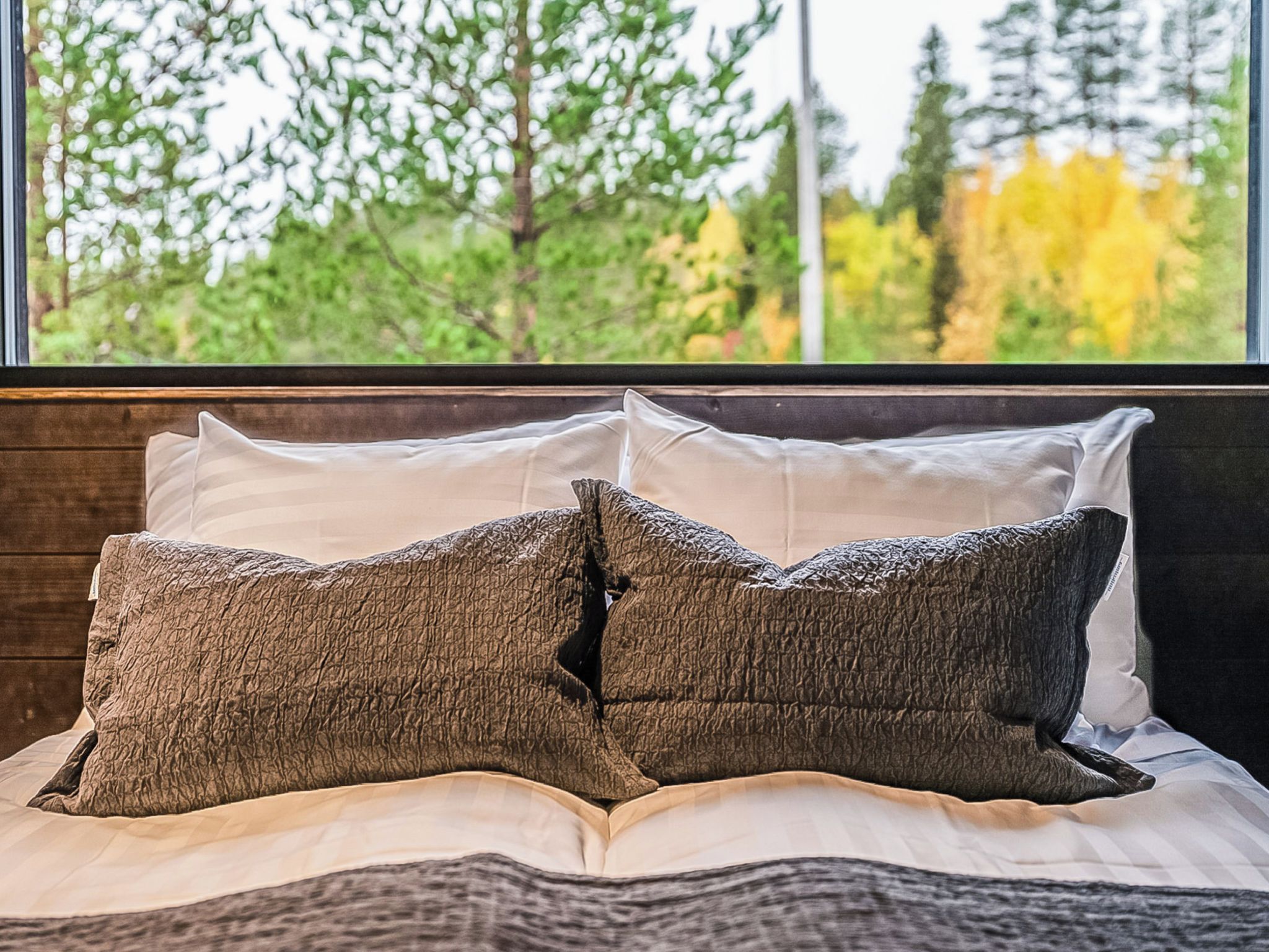 3 bedrooms, internet