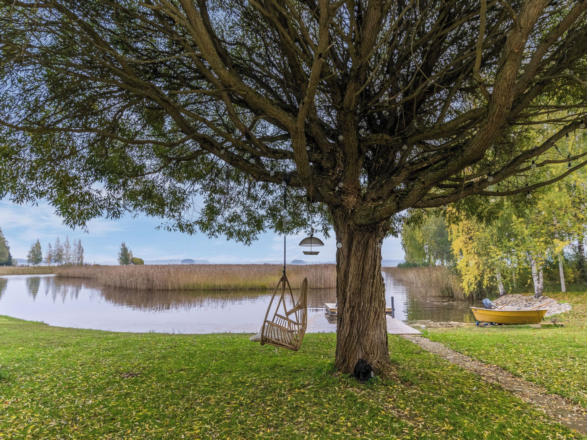 A large tree with a swing hanging from it, a small boat, and a body of water in the background.
